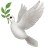 Scopebird